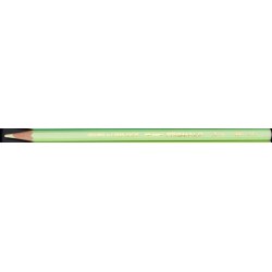 PASTELLO CARAN D'ACHE PRISMALO VERDE