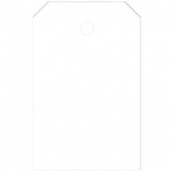 CARTELLINI MANILA 41X65 BIANCO 1000CF.