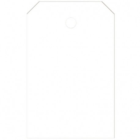 CARTELLINI MANILA 41X65 BIANCO 1000CF.