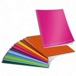 MAXI 80GR 10MM COLORXYOU -