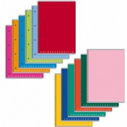 MAXI 5MM SPIRALATO NON FORATO COLORXYOU