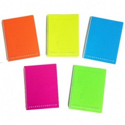 MAXI 1R SPIRALATI FORATI PPL COLORXYOU