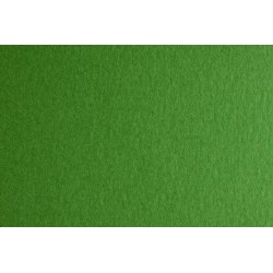 CARTONCINI FABRIANO COLORE VERDE