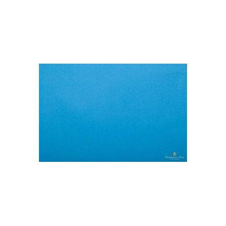 CARTA VELINA 50X76 TURCHESE 24 PZ