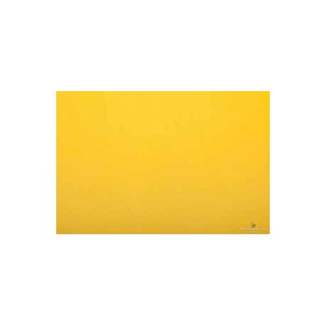 CARTA VELINA 50X76 GIALLO 24 PZ -PFF068A