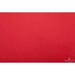 CARTA VELINA 50X76 ROSSO 24 PZ - PFF090A