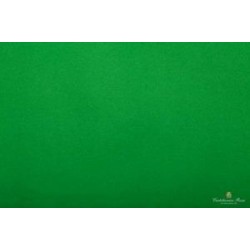 CARTA VELINA 50X76 VERDE BANDIERA 24 PZ