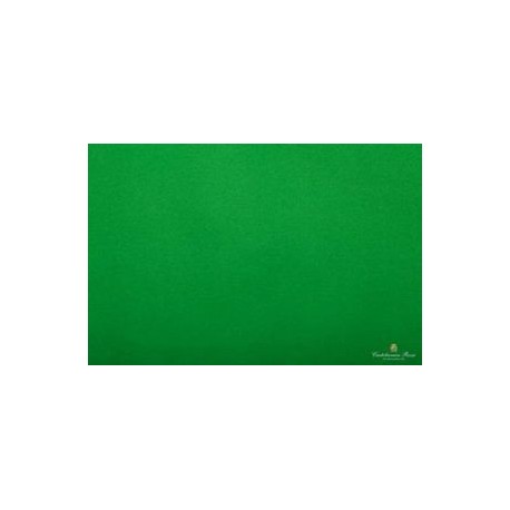 CARTA VELINA 50X76 VERDE BANDIERA 24 PZ