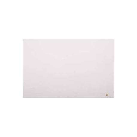 CARTA VELINA 50X76 BIANCO 24 PZ