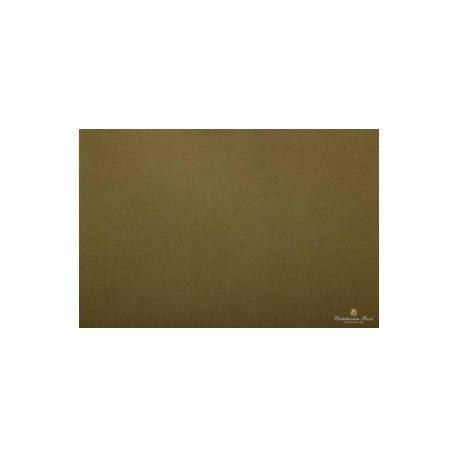CARTA VELINA 50X76 VERDE MUSCHIO