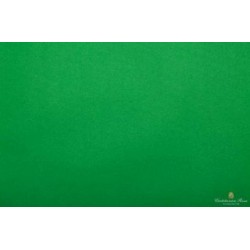 CARTA VELINA 50X76 VERDE 24 PZ