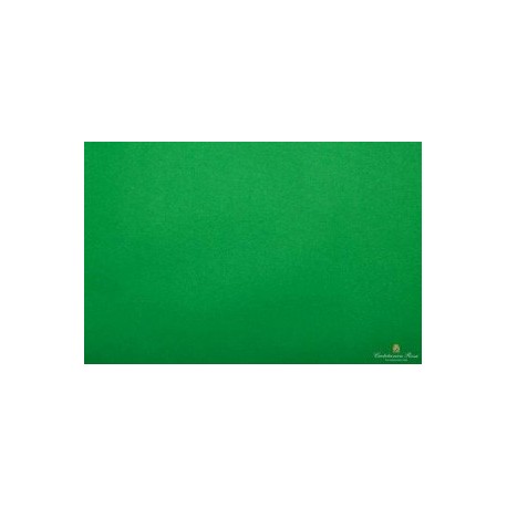 CARTA VELINA 50X76 VERDE 24 PZ