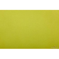 CARTA VELINA 50X76 GIALLO ACIDO 24 PZ