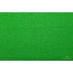 ROTOLO CARTA CRESPA 60GR VERDE PRATO