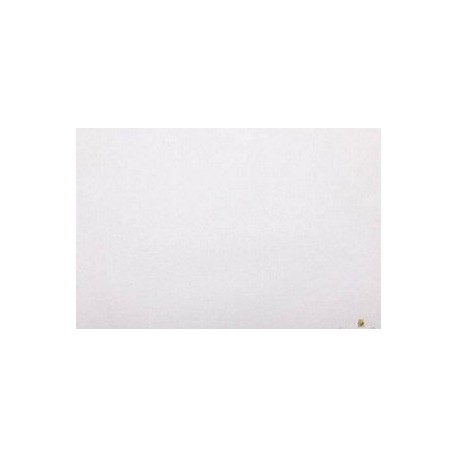 CARTA VELINA 50X75 PERLATA 24 PZ - Z803A