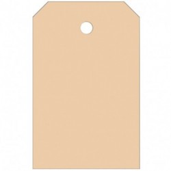 CARTELLINI MANILA 53X130 AVANA 1000CF.