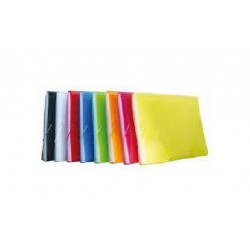 PORTADOCUMENTI 12 TASCHE  A4 PPL TQ