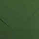 CARTONCINI COLORLINE 50X70 VERDE ABETE