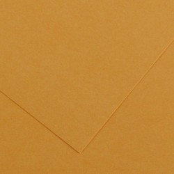 CARTONCINI COLORLINE 100X70 CUOIO 220GR