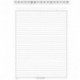 SCHEDE A RIGHE CON RUBRICA 17X24 PZ100