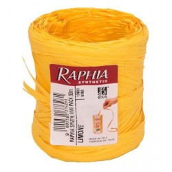 NASTRO RAFIA 50M LIMONE - 54011320522