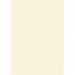 CARTA DIPLOMA PERGAMENA NEUTRA AVORIO