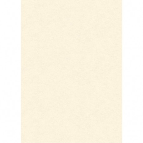 CARTA DIPLOMA PERGAMENA NEUTRA AVORIO