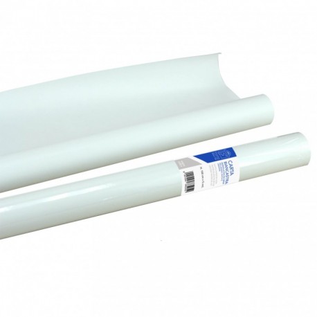 ROTOLO CARTA BIANCA 100X5M 80GR KRAFT