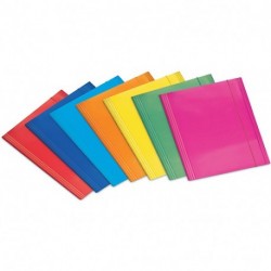 CARTELLINA C/ELAS.3L TASK 25X35  - 3L500