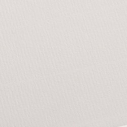 CARTONCINI COLORLINE 50X70 BIANCO 220GR