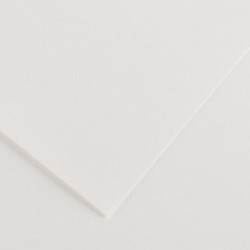 CARTONCINI COLORLINE 100X70 BIANCO 220GR