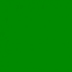 CARTONCINI FAVINI BRISTOL 100X70 VERDE