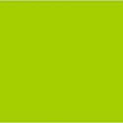 CARTONCINI FAVINI BRISTOL 100X70