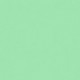 CARTONCINI FAVINI BRISTOL 100X70 VERDE