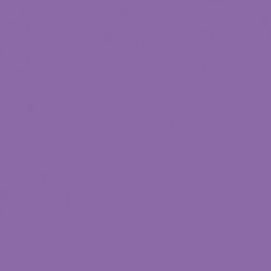 CARTONCINI FAVINI BRISTOL 100X70 VIOLETT