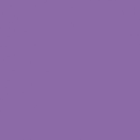 CARTONCINI FAVINI BRISTOL 100X70 VIOLETT