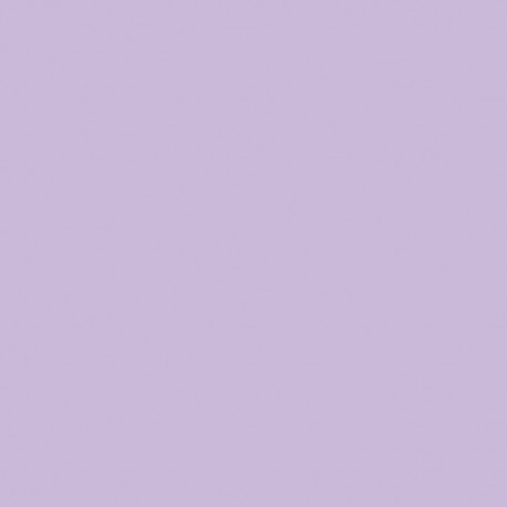 CARTONCINI FAVINI BRISTOL 100X70 LILLA