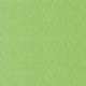 CARTONCINI FAVINI BRISTOL 50X70 VERDE