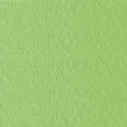 CARTONCINI FAVINI BRISTOL 50X70 VERDE