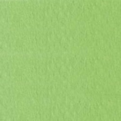 CARTONCINI FAVINI BRISTOL 50X70 VERDE