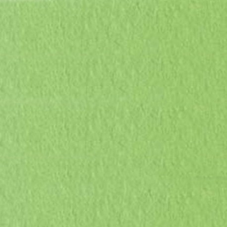 CARTONCINI FAVINI BRISTOL 50X70 VERDE