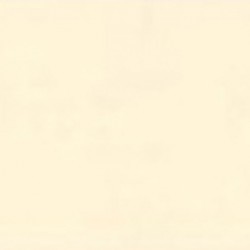 CARTONCINI FAVINI BRISTOL 50X70 AVORIO