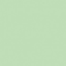 CARTONCINI FAVINI BRISTOL 50X70