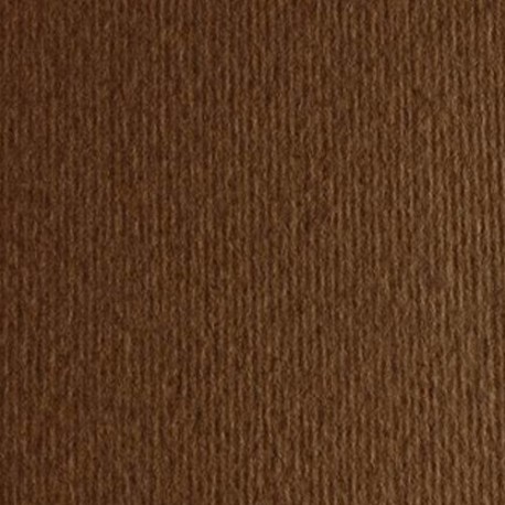 CARTONCINI FABRIANO LR 100X70  MARRONE