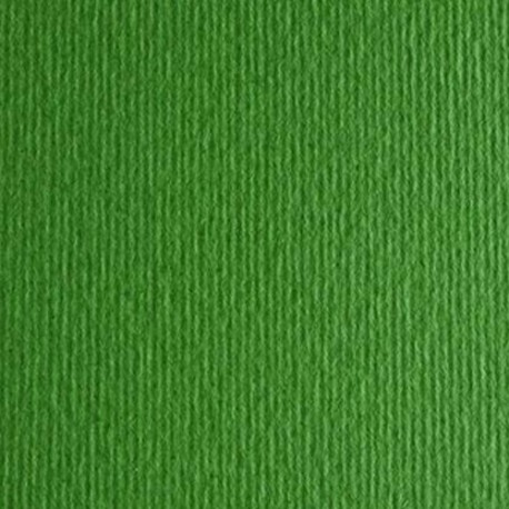 CARTONCINI FABRIANO LR 100X70 VERDE