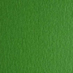 CARTONCINI FABRIANO LR 50X70 VERDE