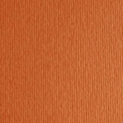 CARTONCINI FABRIANO LR 50X70 ARAGOSTA