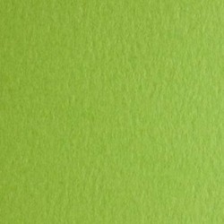 CARTONCINI FABRIANO COLORE VERDE