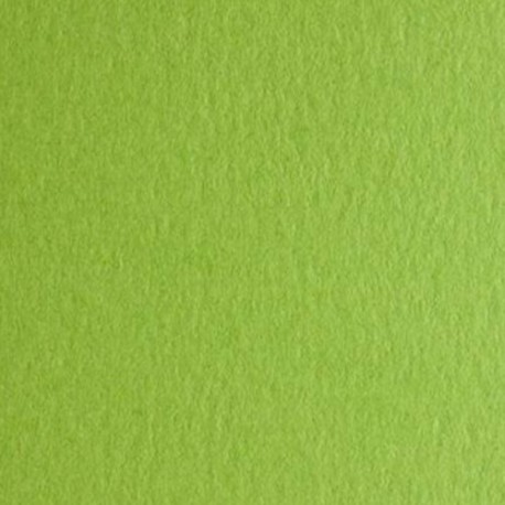 CARTONCINI FABRIANO COLORE VERDE