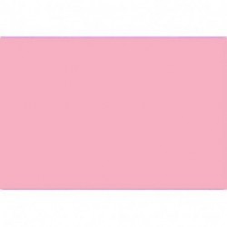 CARTA VELINA 50X76 ROSA 24 PZ - PFF000A
